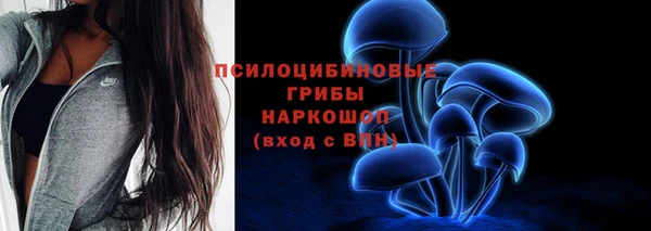 соль ск Зеленокумск