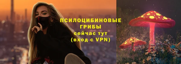 соль ск Зеленокумск