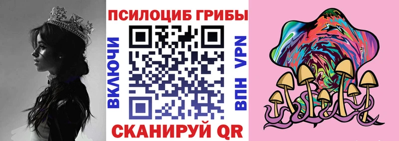 Псилоцибиновые грибы мицелий  Купить  Нытва 